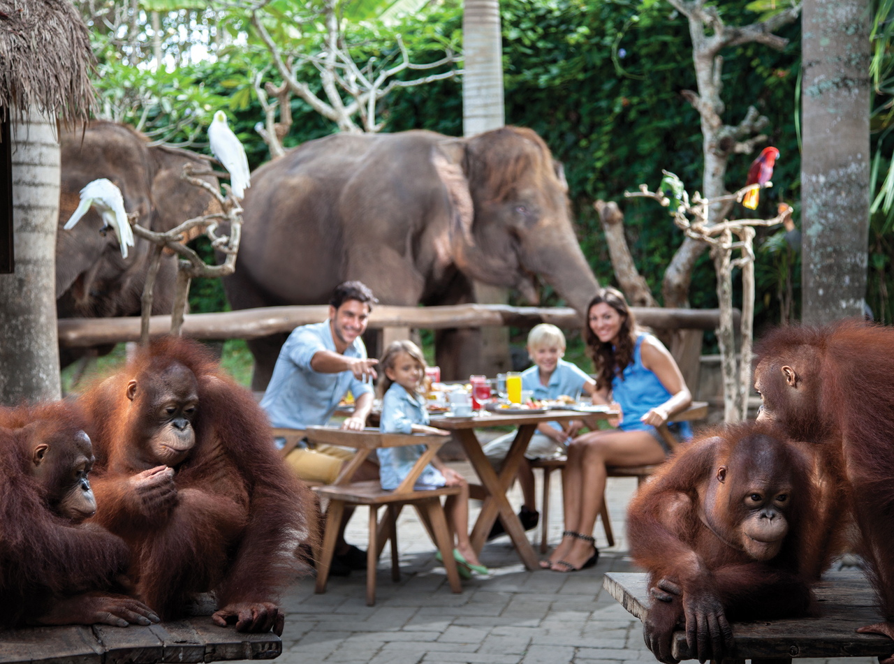 Bali Zoo: Breakfast with Orangutan